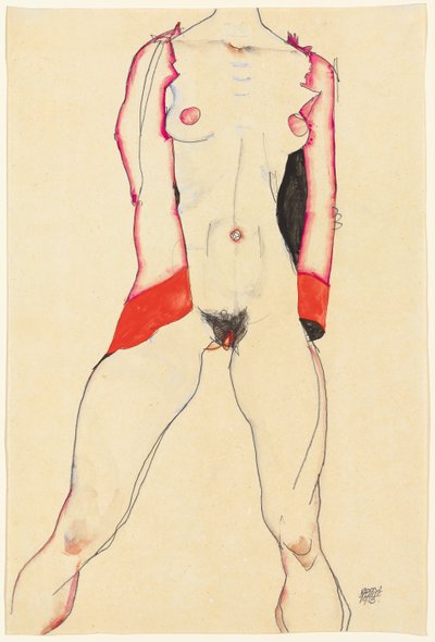 Kobiecy tułów; Tors Weiblichera, 1913 autorstwa Egon Schiele