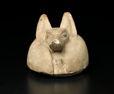 Pokrycie słoja kanopskiego z głową szakala (wapień) autorstwa Egyptian