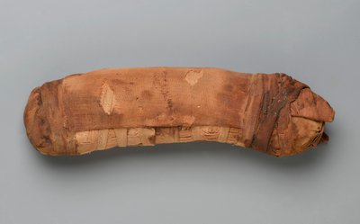 Mumia kota (szczątki zwierząt i pościel) autorstwa Egyptian
