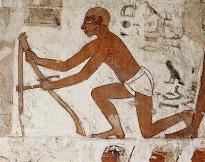 Rzemieślnik dokonujący pomiarów do budowy muru, detal fresku zdobiącego grobowiec Rechmira, namiestnika Teb i wezyra za panowania faraonów Totmesa III i Amenofisa II (XVIII dynastia 1500-1292 pne), Grobowiec (TT100), Valli autorstwa Egyptian 18th Dynasty