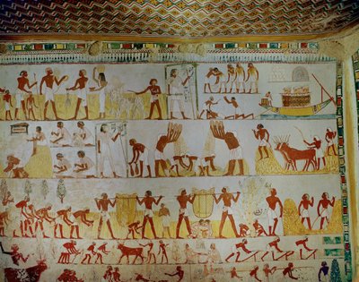 Scena rolnicza ... autorstwa Egyptian 18th Dynasty