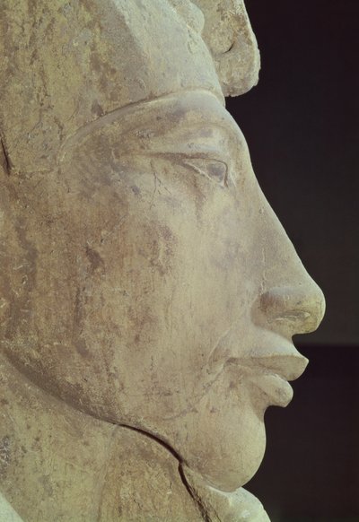 Popiersie Amenophisa IV (Echenatona) (ok. 1364-1347 pne) ze świątyni Amona w Karnaku, ok. 1353-1337 pne (piaskowiec) (szczegół) autorstwa Egyptian 18th Dynasty