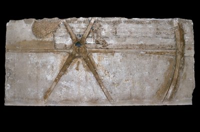 Rzeźbiony i malowany blok wapienia z przedstawieniem koła rydwanu, 1353-35 pne (wapień) autorstwa Egyptian 18th Dynasty