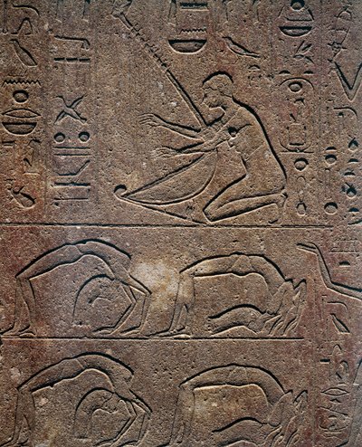 Uroczystości z harfistą i akrobatami, relief, Czerwona Kaplica Hatszepsut, rekonstrukcja wystawiona w Muzeum w Karnaku, cywilizacja egipska, Nowe Państwo, XVIII dynastia autorstwa Egyptian 18th Dynasty