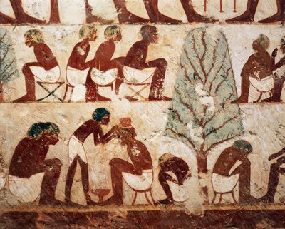 Egipt, Luksor, Teby Zachodnie, Szejk el Gurnak. Grób Usirhata, fryzjer, detale z fresku. (Nowe Królestwo, XVIII dynastia) autorstwa Egyptian 18th Dynasty