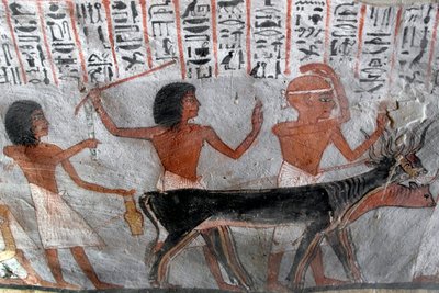 Starożytność egipska: postacie prowadzące głowy betaili. Malowanie grobowca Roya (TT255). XVIII dynastia. Z Zachodniego Brzegu Luksoru, Egipt autorstwa Egyptian 18th Dynasty