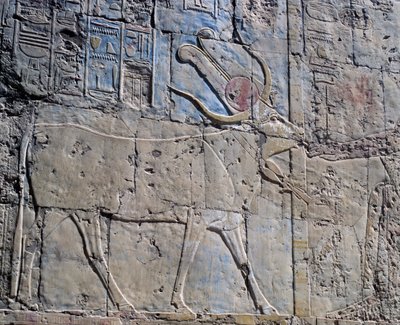 Bogini Hathor w postaci świętej krowy, malowana płaskorzeźba, kaplica Hathor, świątynia grobowa królowej Hatszepsut, znana również jako Dżeser-Dżeseru, Deir el-Bahri, Teby (lista światowego dziedzictwa UNESCO) autorstwa Egyptian 18th Dynasty