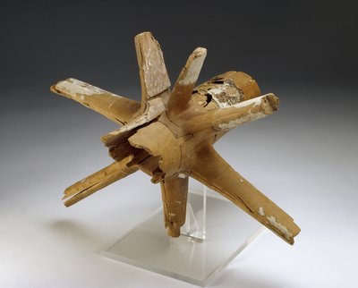 Piasta i szprychy koła rydwanu (drewno wiąz i tamarix z wiązaniem gipsu i surowej skóry) autorstwa Egyptian 18th Dynasty