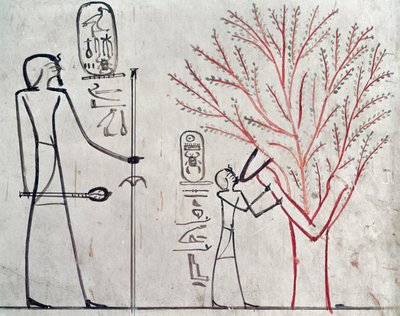 Izyda przemieniona w sykomorę, która wykarmiła Totmesa III (ok. 1479-1425 p.n.e.) (malowidło ścienne) autorstwa Egyptian 18th Dynasty