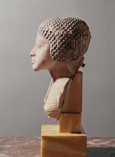 Lewy profil głowy księżnej z rodziny Echnatona, Nowe Państwo (malowany wapień) (patrz także 107940, 116813, 370211) autorstwa Egyptian 18th Dynasty
