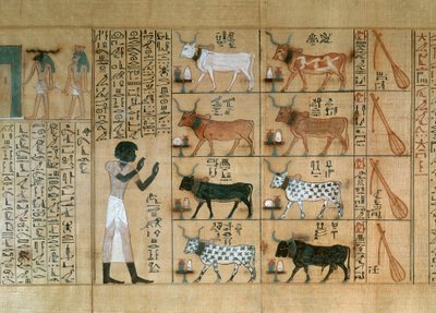 Papirus przedstawiający woły, z Księgi Umarłych z Maiherperi autorstwa Egyptian 18th Dynasty