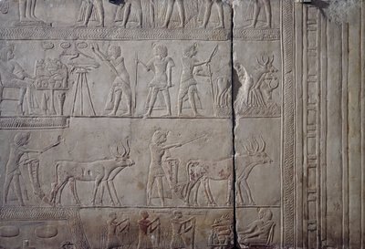 Faraon Horemheb, przedstawiony podczas prac rolniczych na polach Iaru, odbierający plony ofiarowane przez rolników, wapienna płaskorzeźba ścienna z grobowca memfickiego Horemheba w Sakkarze, cywilizacja egipska, Nowe Królestwo, dynastia XVIII autorstwa Egyptian 18th Dynasty