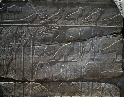 Kasvit ja eläimet, jotka tuotiin Thutmose III:n Syyrian-retkeltä vuonna 1465 eKr., yksityiskohta reliefistä, ns. kasvitieteellinen puutarha, Amunin temppeli, Karnakin temppelikompleksi, Egyptin sivilisaatio, Uusi kuningaskunta, dynastia XVIII Puola autorstwa Egyptian 18th Dynasty