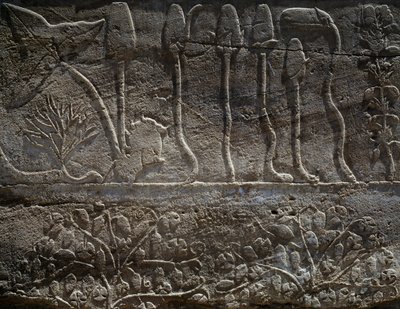 Rośliny przywiezione z wyprawy Thutmose III do Syrii w 1465 r. p.n.e., szczegół reliefu, sala znana jako tzw. ogród botaniczny, Świątynia Amona, kompleks świątynny Karnak, cywilizacja egipska, Nowe Państwo, XVIII dynastia autorstwa Egyptian 18th Dynasty
