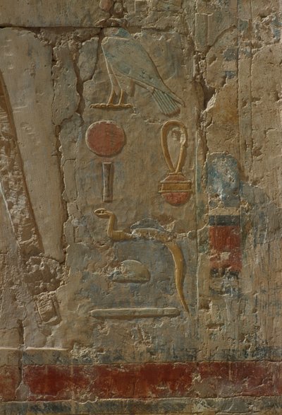 Relief przedstawiający Horusa, kaplicę bogini Hathor, ze świątyni grobowej Hatszepsut (ok. 1503-1482 pne) Nowe Państwo (malowany wapień) autorstwa Egyptian 18th Dynasty