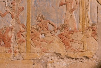Relief przedstawiający mężczyzn wiosłujących na łodzi, ściana ozdobiona na cześć bogini Hathor, detal, ze świątyni grobowej w Hatszepsut (ok. 1503-1482 pne) Nowe Królestwo (malowany wapień) autorstwa Egyptian 18th Dynasty