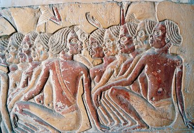 Relief nubijskich niewolników, drugi dziedziniec grobowca Horemheba, nekropolia Sakkary, Memfis (lista światowego dziedzictwa UNESCO) autorstwa Egyptian 18th Dynasty