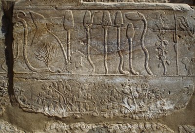 Relief zwierząt i roślin ofiarowanych Amonowi przez Thutmose III po jego powrocie z kampanii w Syrii w 1465 r. p.n.e., Sala Ogrodu Botanicznego, Karnak, Nekropolia Tebańska, Luksor, Egipt, Nowe Państwo, XVIII dynastia autorstwa Egyptian 18th Dynasty