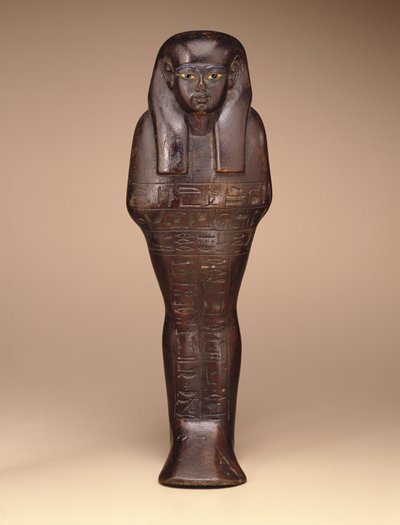 Szawabti Majów, Nowe Królestwo, ok. 1390-1353 pne (drewno, farba i szkło) autorstwa Egyptian 18th Dynasty