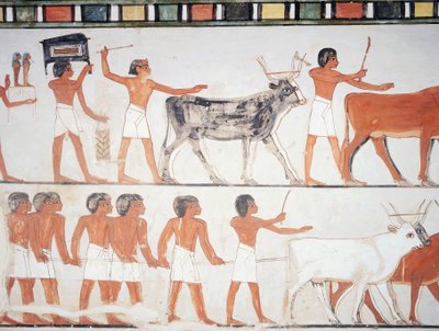 Pasterze i bydło, fresk, ściana południowa, komora podłużna, grobowiec tebański TT69, szejk Abd el-Qurna, Teby (Lista Światowego Dziedzictwa UNESCO autorstwa Egyptian 18th Dynasty