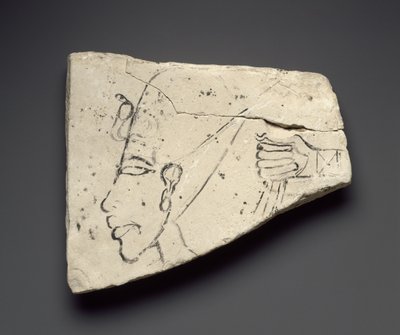Szkice głowy i dłoni Echnatona z Wielkiego Pałacu w Tell el-Amarna (wapień) autorstwa Egyptian 18th Dynasty