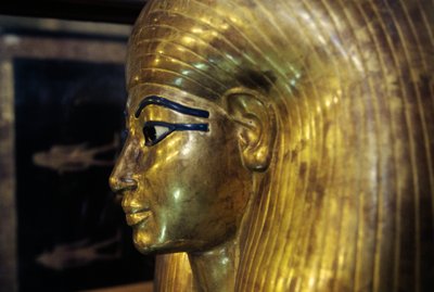Sarkofag Tjuya, z grobowca Yuya Tjuya, Dolina Królów, Egipt, cywilizacja egipska, Nowe Państwo, XVIII dynastia, szczegół autorstwa Egyptian 18th Dynasty