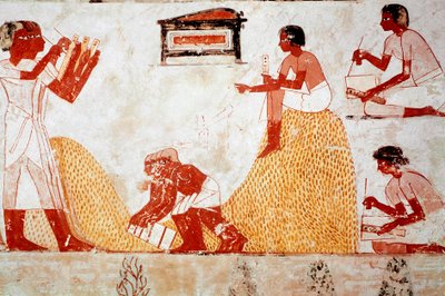 Grobowiec Menny: Scena rolnicza: zbiera zboże pod nadzorem skryby, który rejestruje zbiory (fresk) autorstwa Egyptian 18th Dynasty