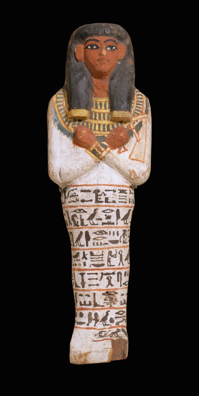 Figurka Ushebti dla Hapyaa, koniec XVIII dynastii ... autorstwa Egyptian 18th Dynasty