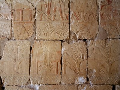 Roślinność, szczegół sceny przedstawiającej wyprawę do krainy Punt, malowany relief, Kolumnada Punt, Świątynia grobowa Hatszepsut, Deir el-Bahari, Nekropolia Tebańska (Lista światowego dziedzictwa UNESCO) autorstwa Egyptian 18th Dynasty