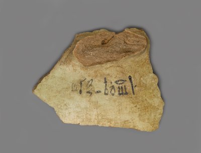 Etykieta wina, znaleziona w Pałacu Amenhotepa III, Teby, Nowe Królestwo (terakota z pigmentem) autorstwa Egyptian 18th Dynasty