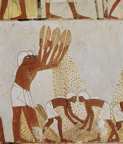 Winnowing z autorstwa Egyptian 18th Dynasty
