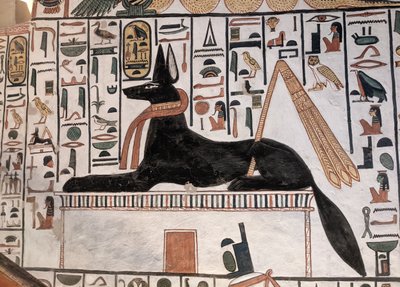 Anubis Grób Nefertari (malarstwo ścienne) autorstwa Egyptian 19th Dynasty