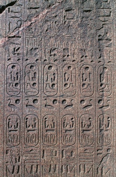 Blok z płaskorzeźbami i inskrypcjami, Wielka Świątynia Amona, Tanis, Egipt, Nowe Państwo, XIX dynastia autorstwa Egyptian 19th Dynasty