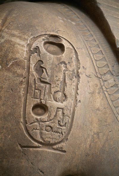 Kartusz na ramieniu, rycina z Kolosa Ramzesa II, Memfis (Lista światowego dziedzictwa UNESCO) autorstwa Egyptian 19th Dynasty