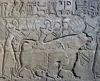 Postacie symbolizujące okręgi górnicze przynoszące daninę bogu, relief, Dziedziniec Ramzesa II, Świątynia Amona (Lista światowego dziedzictwa Unesco) autorstwa Egyptian 19th Dynasty
