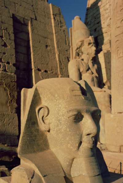 Kolosalna głowa Ramzesa II (1298-32 pne) Nowe Królestwo autorstwa Egyptian 19th Dynasty