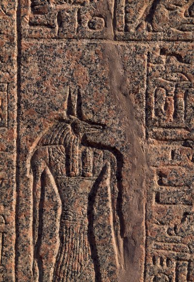 Przedstawienie Anubisa, fragment inskrypcji i płaskorzeźba przedstawiająca Anubisa i innego Boga, sarkofag Amenhotepa, Memphis (Lista Światowego Dziedzictwa UNESCO) autorstwa Egyptian 19th Dynasty