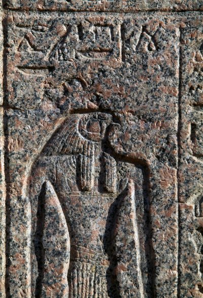 Wizerunek Horusa, inskrypcja i płaskorzeźba Horusa i Thotha, sarkofag Amenhotepa, Memfis, Egipt, Nowe Królestwo, XIX dynastia autorstwa Egyptian 19th Dynasty