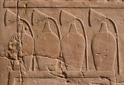 Detal płaskorzeźby przedstawiający słoiki i kwiaty lotosu (wapień) autorstwa Egyptian 19th Dynasty