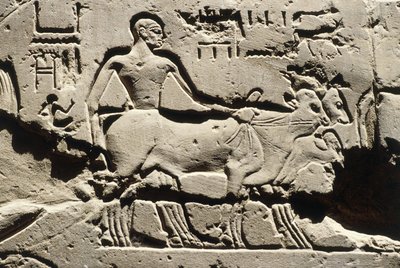 Egipt Starożytny, Luksor, Świątynia Luksorska, Dziedziniec Ramzesa II, relief, Nowe Państwo, Dynastia XIX (1290-1224 p.n.e.) autorstwa Egyptian 19th Dynasty