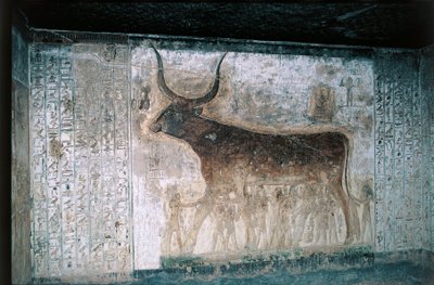 Egipt, Luksor, Dolina Królów, grobowiec Setiego I, wewnętrzne freski przedstawiające boginię Nut jako krowę autorstwa Egyptian 19th Dynasty