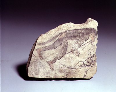 Ostracon z figurą małpy grającej na flecie, New Kingdom (malowany wapień) autorstwa Egyptian 19th Dynasty