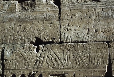 Relief, świątynia Amona, Luksor, starożytne Teby (lista światowego dziedzictwa UNESCO) autorstwa Egyptian 19th Dynasty