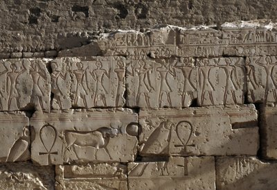 Relief, Ramses II:n temppeli, Abydos, Egypti, Egyptin sivilisaatio, Uusi kuningaskunta, Dynastia XIX (kuva)puola autorstwa Egyptian 19th Dynasty