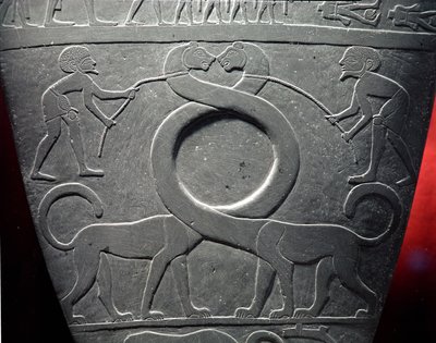 Paleta Narmera: ceremonialna paleta przedstawiająca parę długoszyich kotów trzymanych na smyczy, znaleziona w Hieraconpolis, wczesny okres dynastyczny, ok. 3000 pne (łupek) (detal z 68325) autorstwa Egyptian 1st Dynasty
