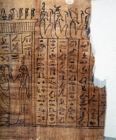Księga Umarłych: egipski hieroglif na papirusie 22. dynastii. Szczegół. IX wiek p.n.e. Turyn, Muzeum Egipskie. autorstwa Egyptian 22nd Dynasty