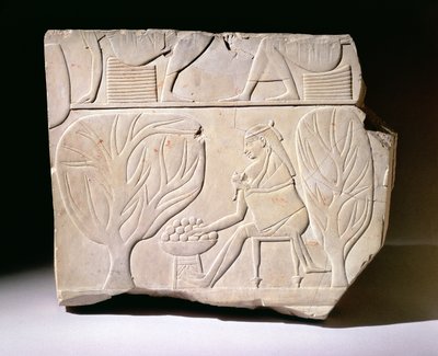 Relief przedstawiający kobietę z dzieckiem sięgającą po figę jaworową, z grobu Montuemhata, Teby Zachodnie, okres późny autorstwa Egyptian 25th Dynasty