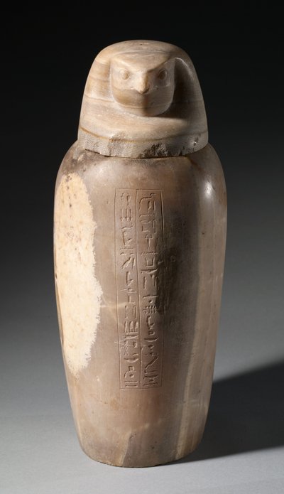 Słój kanopski z głową sokoła, 664-525 p.n.e. autorstwa Egyptian 26th Dynasty
