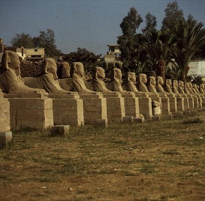 Aleja Sfinksów, dodana przez Nectanebo I (380-362 p.n.e.) Okres późny autorstwa Egyptian 30th Dynasty