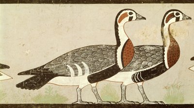 Gęsi Meidum, z grobowca Nefermaat i Ateta, Stare Państwo, ok. 2620 pne (malowane stiuki) autorstwa Egyptian 4th Dynasty